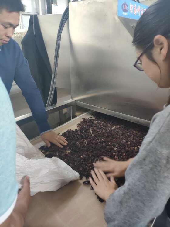 洛神花微波干燥殺青設(shè)備 隧道式殺青干燥機(jī)