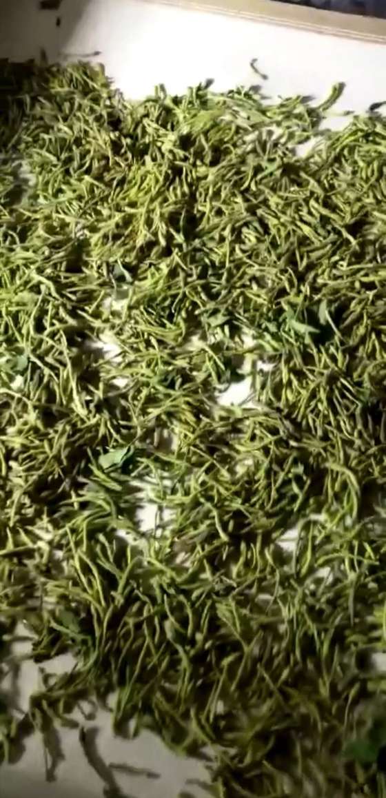 金銀花微波殺青烘干設(shè)備