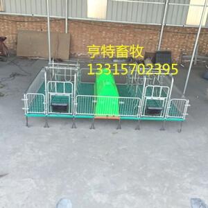 全新款熱鍍鋅母豬產(chǎn)床價(jià)格寬體豬產(chǎn)床落地母豬產(chǎn)床陜西廠家直銷