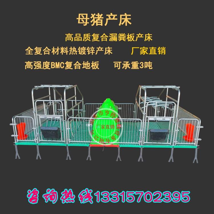 產(chǎn)保兩用 雙體母豬產(chǎn)床 廠家直銷(xiāo)