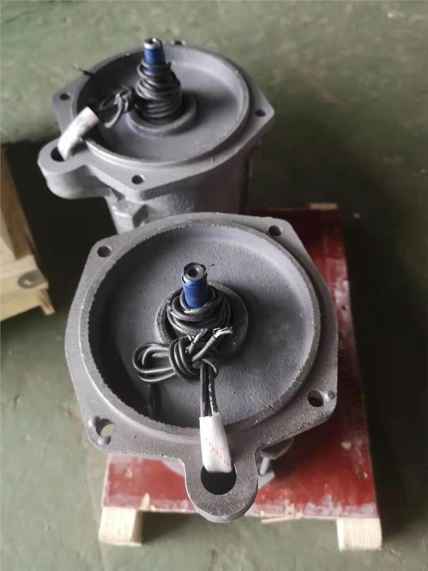 YDF56M2-4 一體式電裝電動(dòng)機(jī)