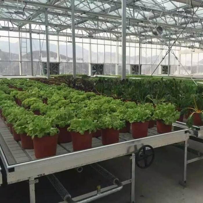 平頂山潮汐苗床的簡易做法