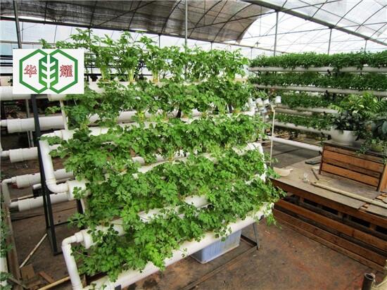 一種立柱栽培裝置河北華耀無土栽培增產(chǎn)增收