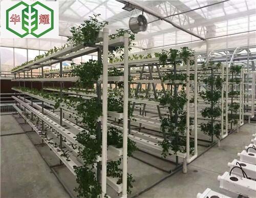 華耀立柱式無土栽培槽自動化種植設備詳細介紹