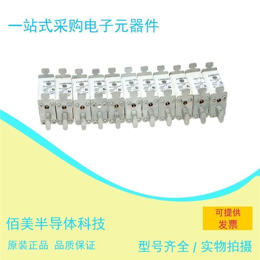 全新  巴斯曼 熔斷器保險絲   170M1567 現(xiàn)貨 供應(yīng)