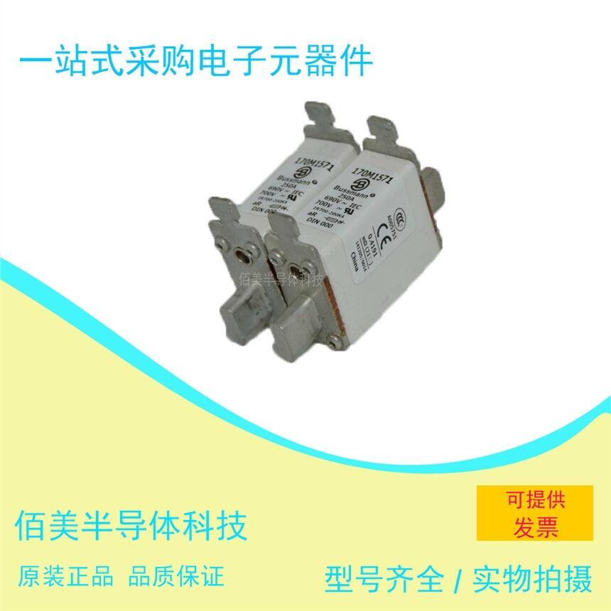 全新  巴斯曼 熔斷器  170M1571  現(xiàn)貨 供應(yīng) 歡迎咨詢