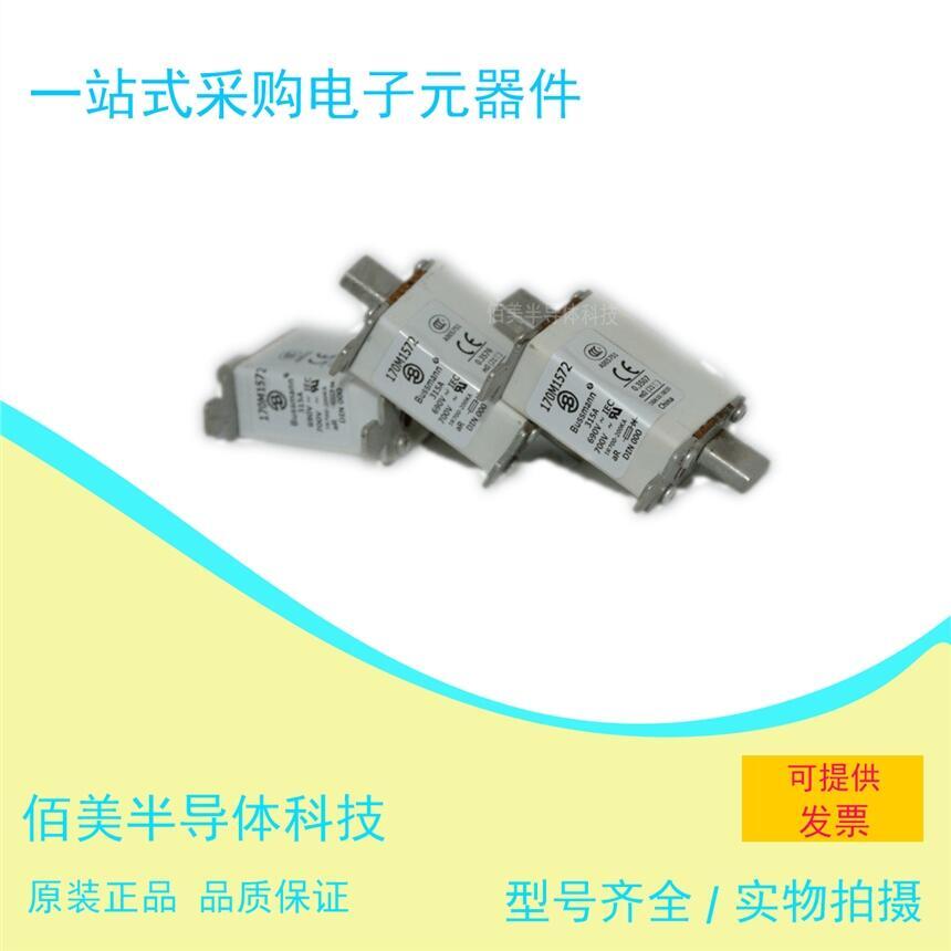 全新  巴斯曼 熔斷器 170M1572  現(xiàn)貨 供應(yīng) 歡迎咨詢