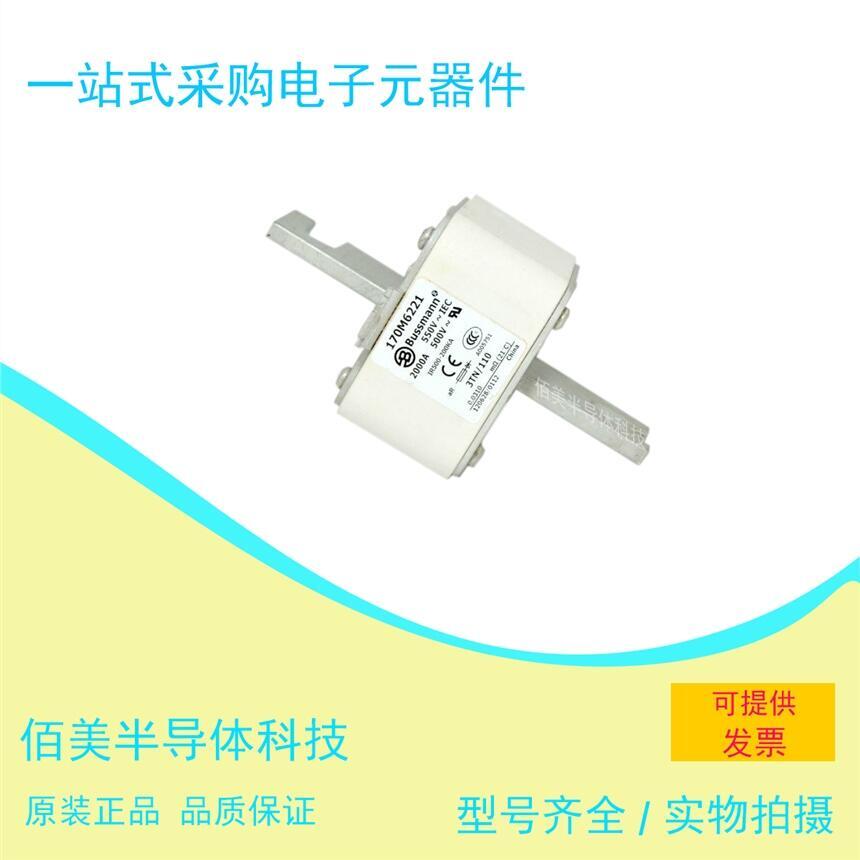 全新  巴斯曼 熔斷器170M6221 現(xiàn)貨 供應(yīng)  歡迎咨詢