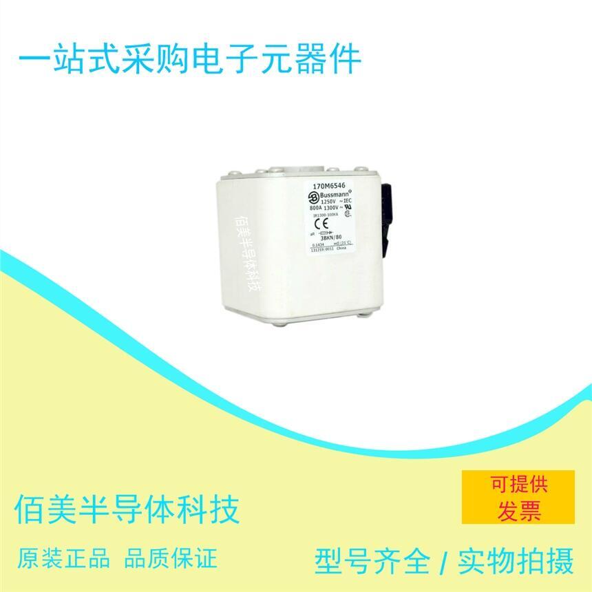 全新  巴斯曼 熔斷器 170M6546 現(xiàn)貨 供應(yīng)  歡迎咨詢