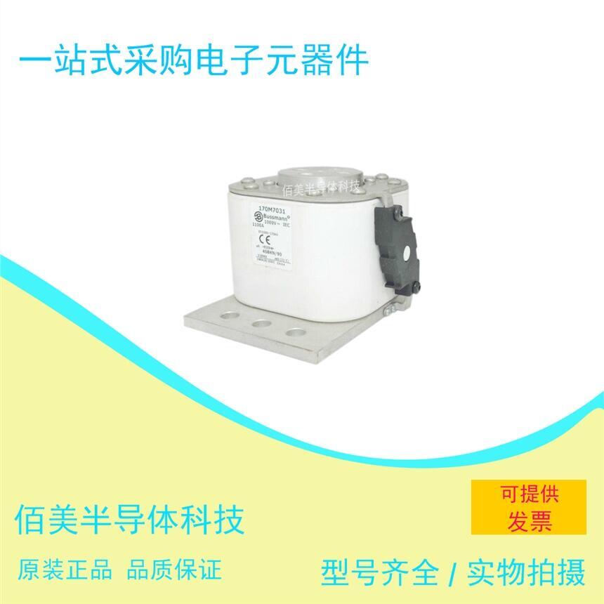 全新  巴斯曼 熔斷器 170M7031  現(xiàn)貨 供應(yīng)  歡迎咨詢