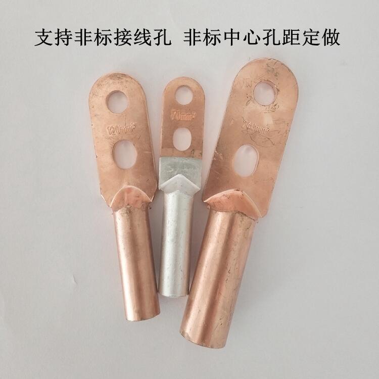 雙孔銅鼻子DTS-120平方雙孔銅線耳銅接線鼻子 非標(biāo)定做雙孔銅鼻子