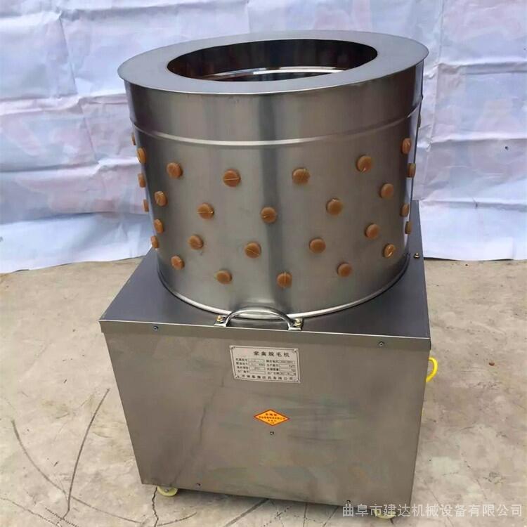 家禽脫毛機 雞鴨脫毛機?廠家