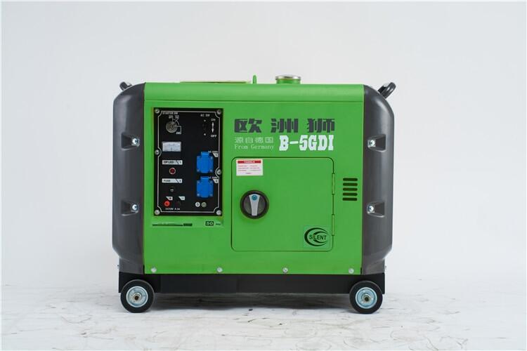 歐洲獅3千瓦變頻汽油發(fā)電機(jī)多少錢