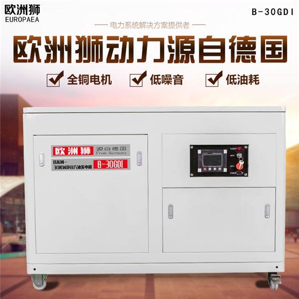 長春15KW汽油發(fā)電機(jī)廠家