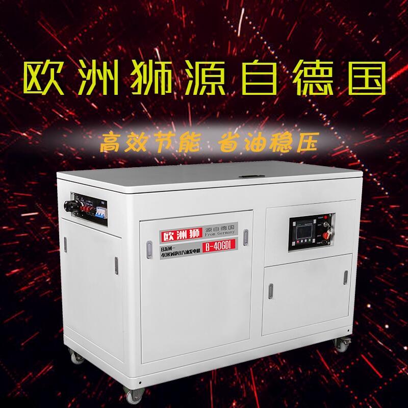 電信機(jī)房40千瓦汽油發(fā)電機(jī)