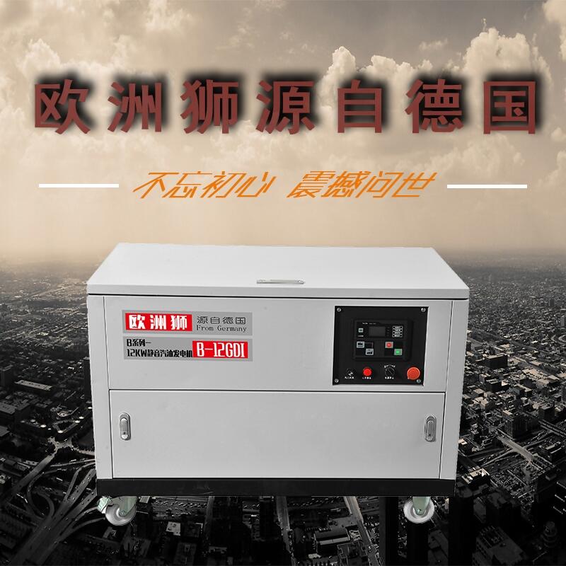 辦公室12千瓦靜音汽油發(fā)電機