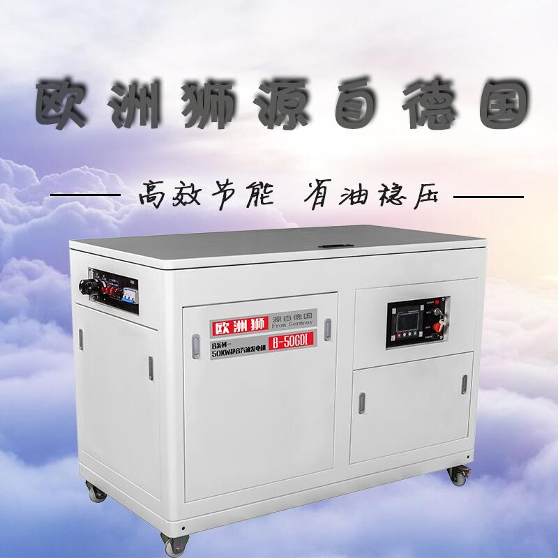 50kw汽油冷庫用發(fā)電機報價