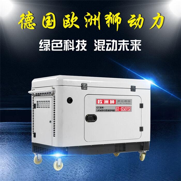 太和縣5千瓦歐洲獅柴油發(fā)電機(jī)