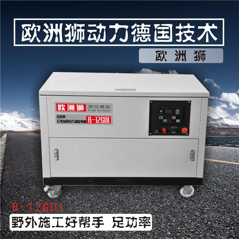 濰坊12千瓦汽油發(fā)電機廠家
