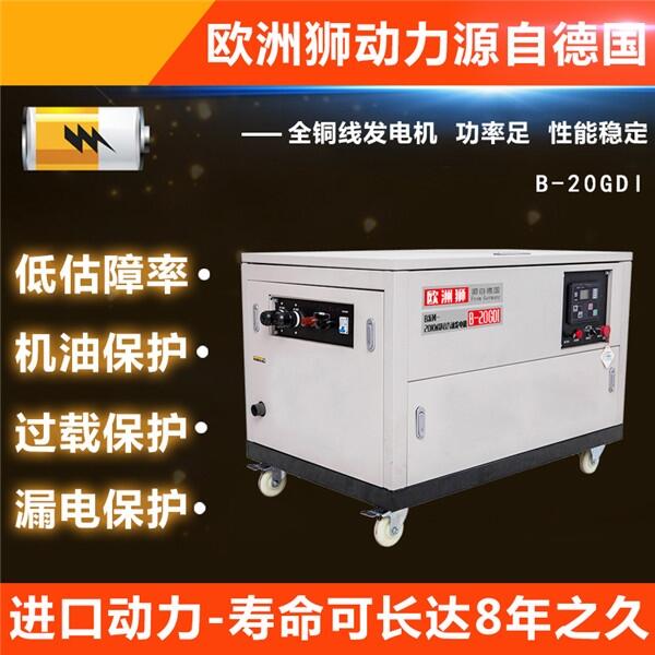 輕便的20千瓦汽油發(fā)電機(jī)組