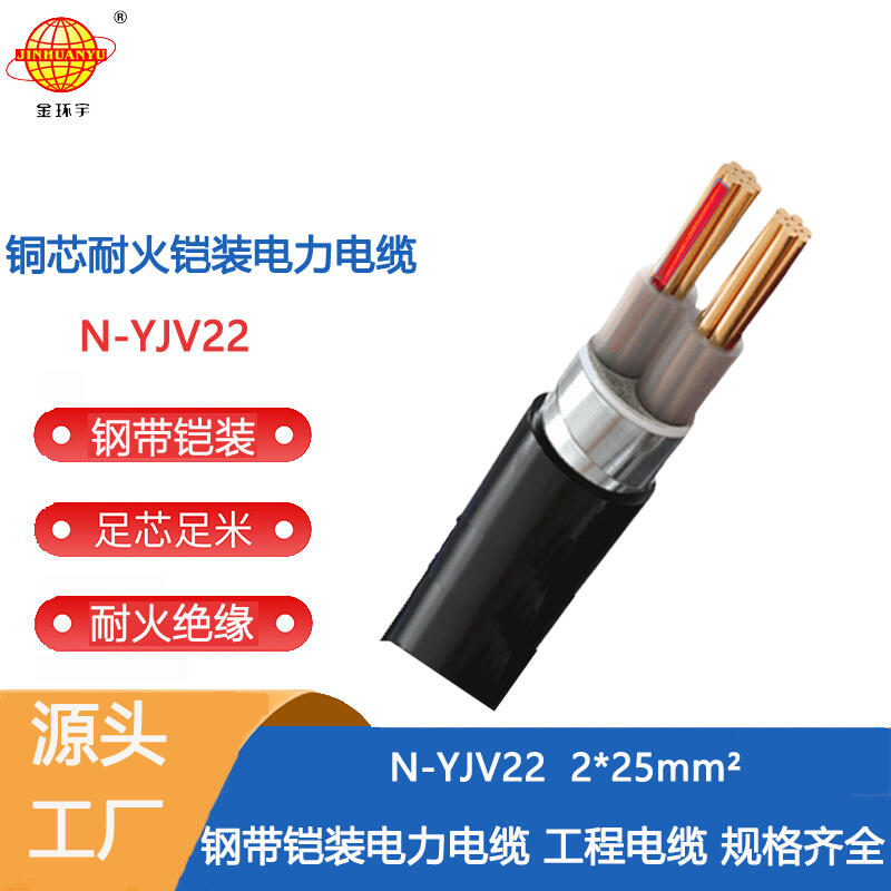 金環(huán)宇電纜 深圳耐火電纜 二芯yjv22鎧裝電纜 N-YJV22-2X25平方