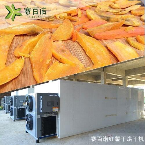百色新型節(jié)能紅薯干生產(chǎn)廠家