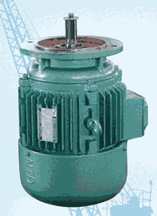 南京特種電機廠塔式電機YEZS112M-4\6  2.8\2.2KW