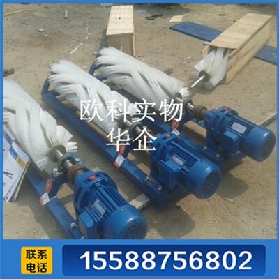 皮帶滾刷清掃器 毛刷清掃器   耐磨型電動(dòng)滾刷清掃器