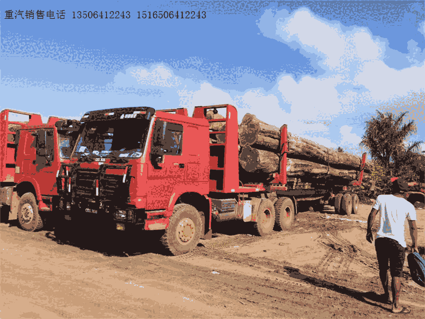 豪沃6×6六驅(qū)森林原木運輸車（出口非洲南非西非）報價