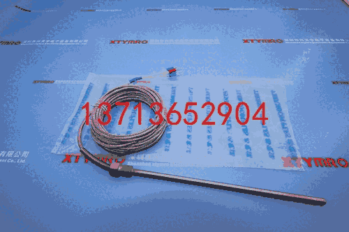 TS2-PT-6.0-200-T2-5M 熱電阻 陽明FOTEK