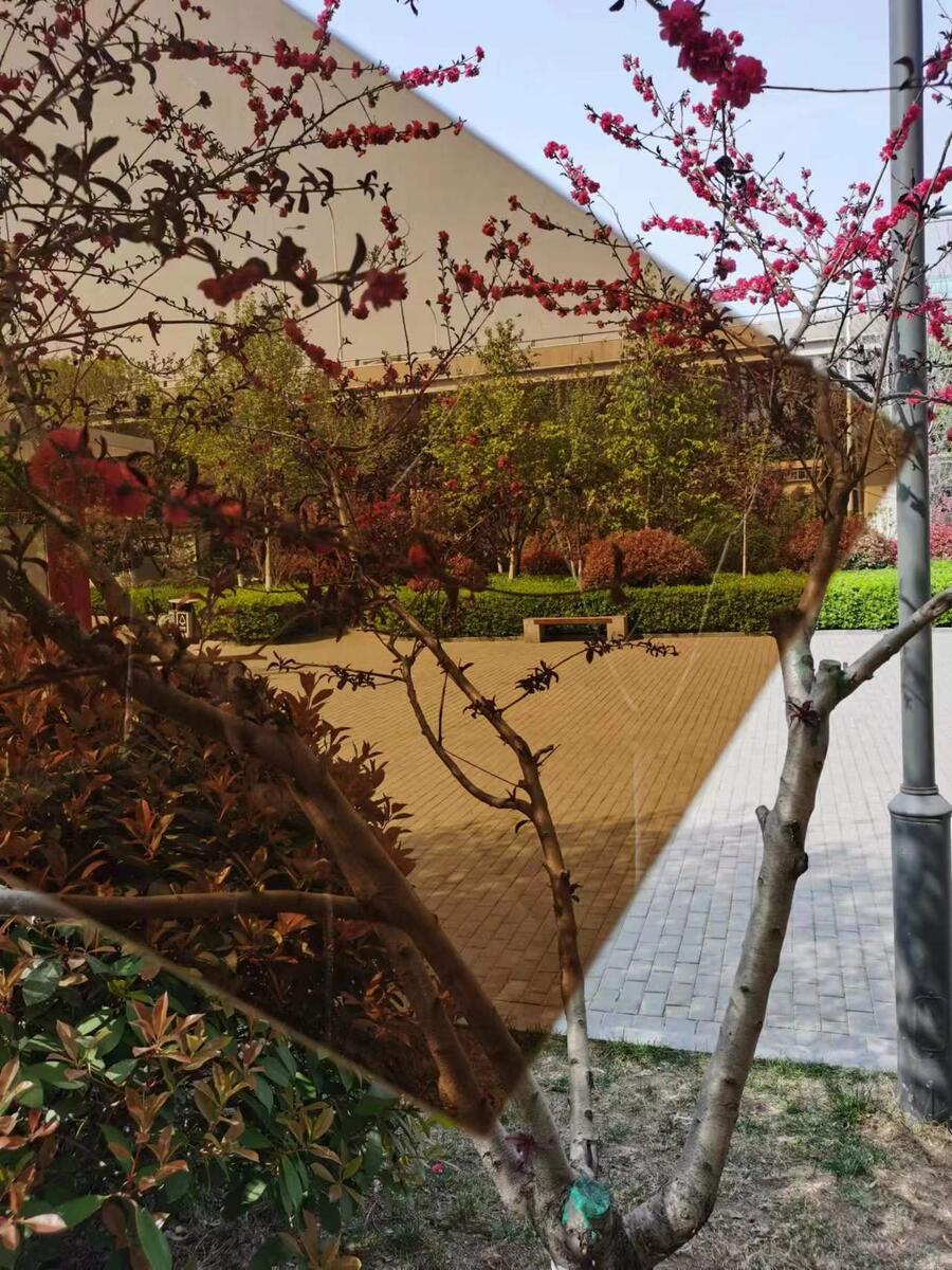 濟(jì)陽(yáng)透明耐力板 廠家蘭代爾透明耐力板廠家發(fā)貨