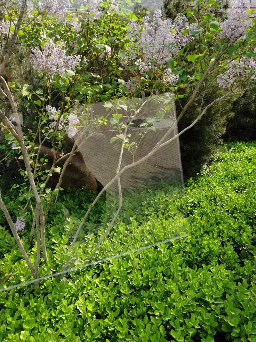 臨沂耐力板PC塑料板材臨沂耐力板價格塑料擋板？
