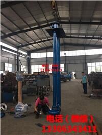 供應(yīng)PSL系列雙管結(jié)構(gòu)立式抽沙泵立式清淤泵