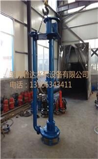 廠家批發(fā)合金材質(zhì)立式吸沙泵立式吸泥泵