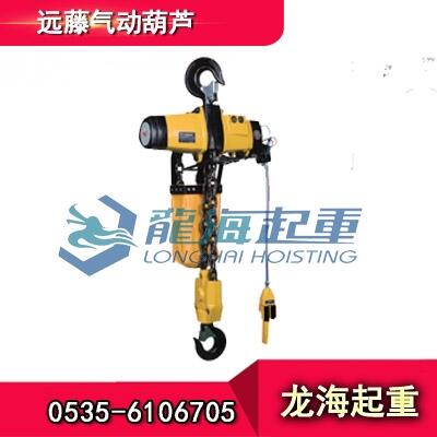 490千克遠(yuǎn)藤氣動(dòng)葫蘆，日本ENDO遠(yuǎn)藤工業(yè)牌正品代理