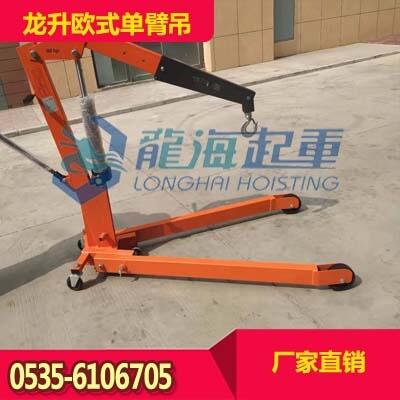 現(xiàn)貨歐式單臂吊LLH-A20 龍升移動(dòng)液壓小吊機(jī)保質(zhì)12個(gè)月