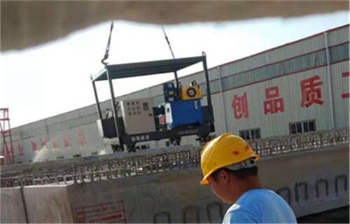 質(zhì)量保障江蘇揚州市橋梁鑿毛機