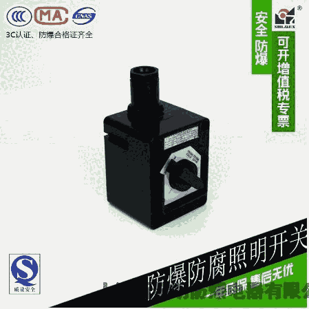 防爆防腐照明開關(guān)ZXF8030-51 BZM-10上海新黎明防爆防腐開關(guān)