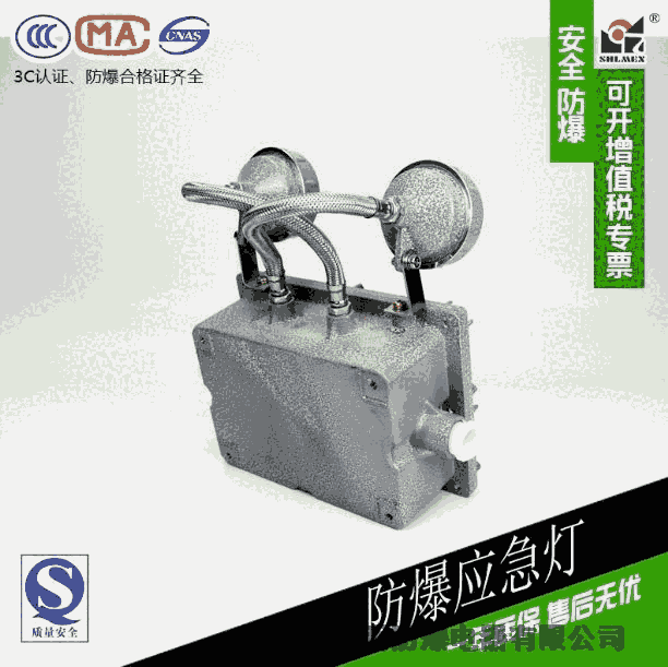 防爆應(yīng)急燈BCJ-2 3W 防爆雙頭四線制應(yīng)急燈 國(guó)標(biāo)廠家直銷(xiāo)