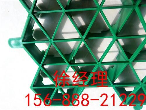 襄陽(yáng)消防通道植草格廠家直銷(xiāo)價(jià)格