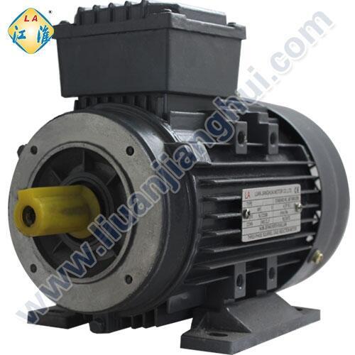 六安江淮電機(jī)YE2高效節(jié)能三相異步電動(dòng)機(jī)