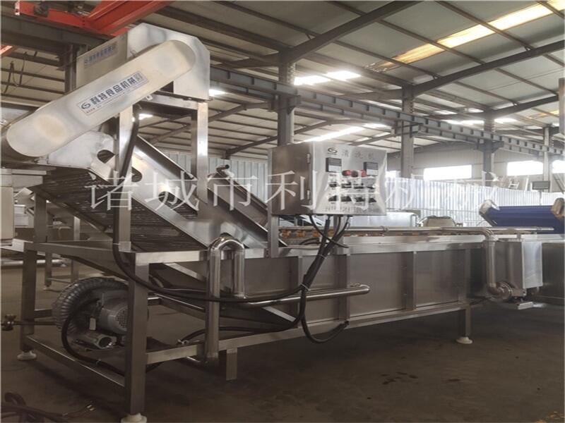 定制大棗加工生產(chǎn)線(xiàn)  全自動(dòng)紅棗清洗機(jī) 大棗高壓氣泡清洗機(jī)