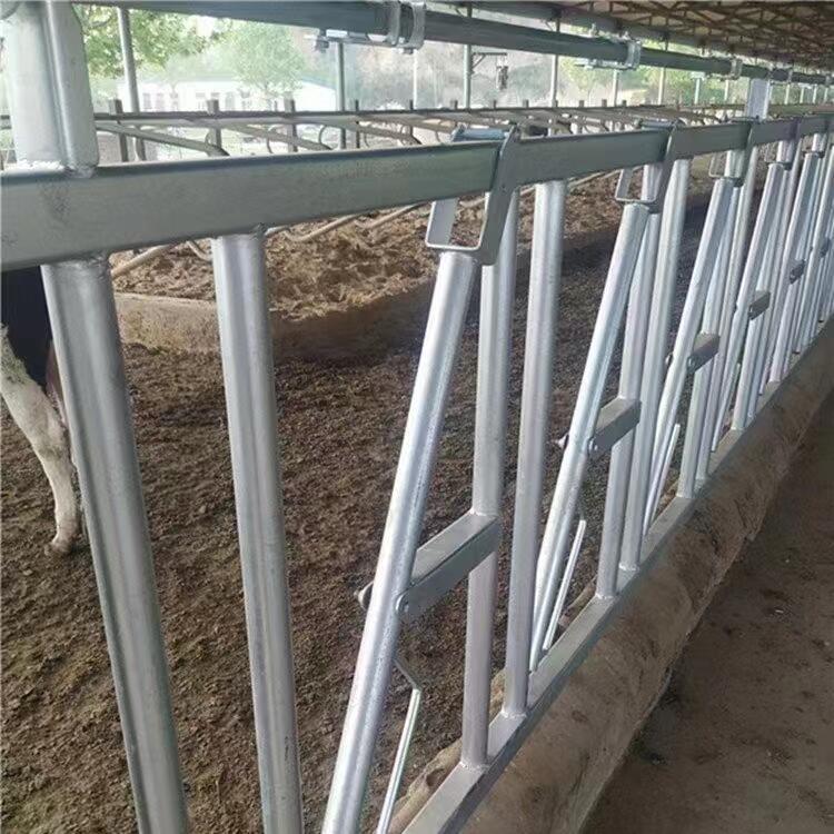 牛頸枷