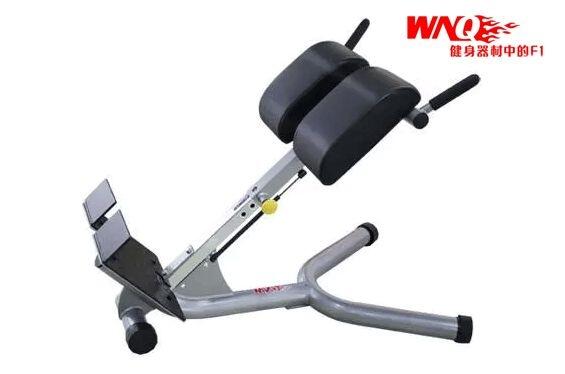 大連萬年青羅馬椅 F1-A93健身器材