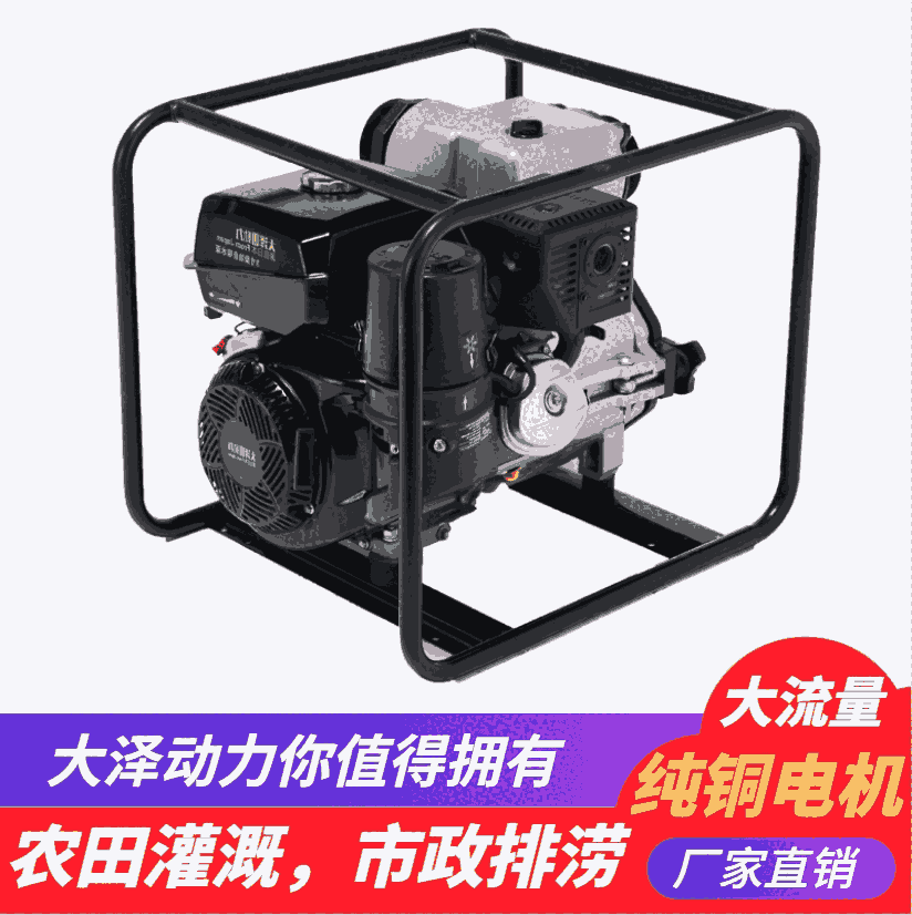 牧區(qū)用2寸柴油自吸水泵 大澤動力TO20EW