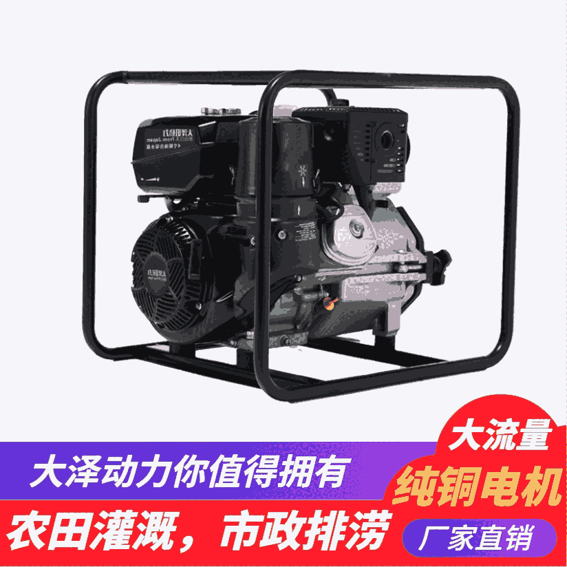 荒漠高原用3寸柴油自吸水泵 大澤動力TO30EW