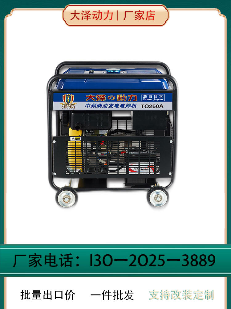 多功能LED面板250A大澤動(dòng)力柴油發(fā)電電焊機(jī)