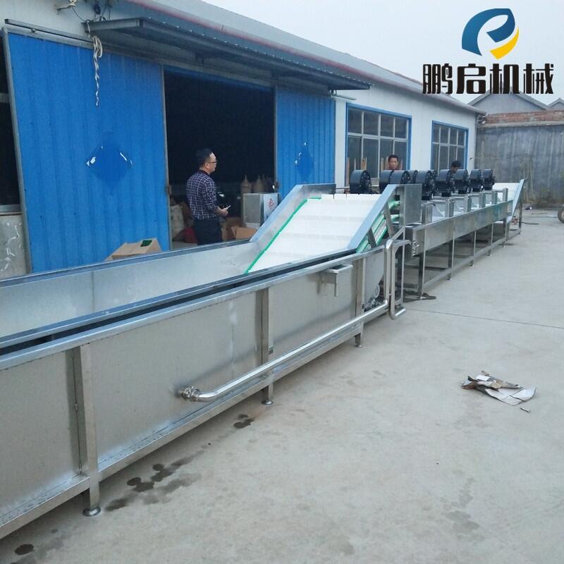 小型中藥材清洗機 鼓泡式中藥飲片清洗機廠家直銷