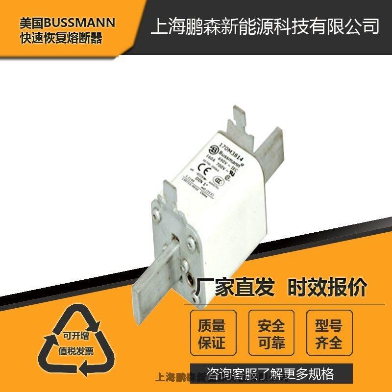 Bussmann/庫柏保險(xiǎn)絲原裝現(xiàn)貨170M3161 170M3172全系列