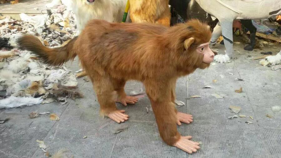 3D建模仿真猴子仿真狒狒科普博物館模型定制